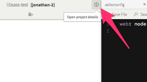 Project details via the i icon