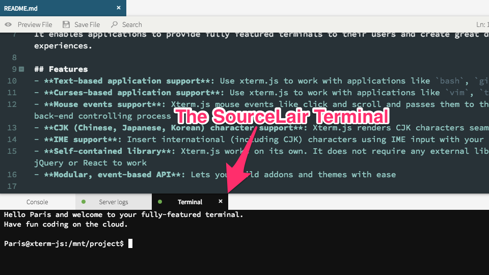 Screenshot of the SourceLair Terminal